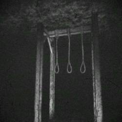 Vorbkt : Knotted Ropes, Cold Flesh